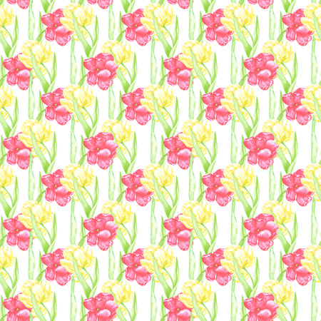 Hand drawn watercolor scarlet and yellow tulips with green leaves seamless pattern. Illustration isolated on white background. Can be used for textile, fabric, wrapping and other printed productsの写真素材