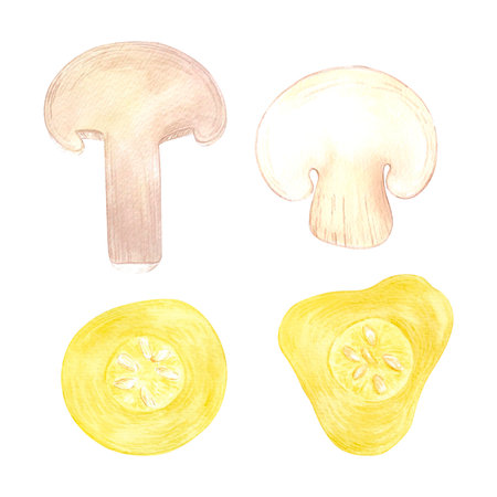 Hand drawn watercolor mushrooms and pickles slices. Illustration of food isolated on white background. Can be used for label, card, scrapbook and other printed productsの写真素材