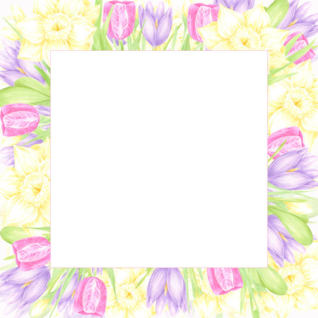 Hand drawn watercolor daffodil tulip and crocus with green leaves frame border isolated on white background. Can be used for postcard, invitation, scrapbook and other printed productsの写真素材