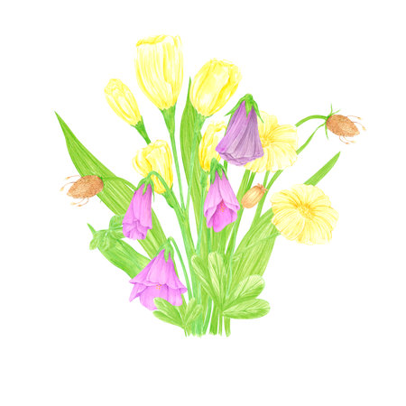 Hand drawn watercolor lisianthus and anemone bouquet. Flower of the field isolated on white background. Can be used for postcard, label, scrapbook and other printed productsの写真素材