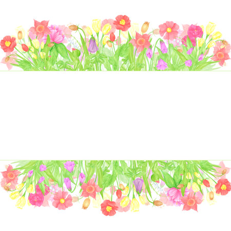 Hand drawn watercolor wildflowers and leaves frame border. Flower of the field isolated on white background. Can be used for postcard, label, scrapbook and other printed productsの写真素材