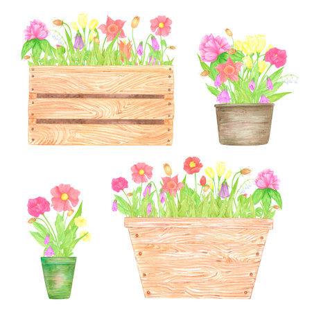 Hand drawn watercolor wildflowers and leaves in pots and boxes isolated on white background. Can be used for postcard, label, scrapbook and other printed productsの写真素材