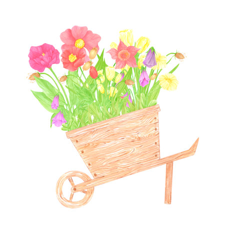 Hand drawn watercolor wildflowers and leaves in the wooden cart isolated on white background. Can be used for postcard, label, scrapbook and other printed productsの写真素材