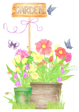 Hand drawn watercolor wildflowers and leaves in pots. Palisade composition isolated on white background. Can be used for postcard, label, scrapbook and other printed productsの写真素材