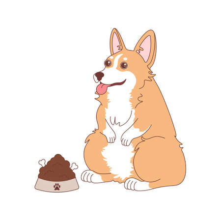 Welsh corgi cartoon illustration. Cute fat corgi with bowl of foodのイラスト素材