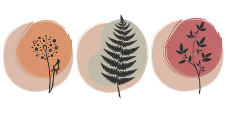 Set of trendy floral illustrations on abstract background. Plant leaves silhouettesのイラスト素材