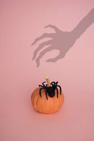Small orange pumping with black spider on pink background. Aesthetic minimal composition. Spooky hand shadow.の写真素材