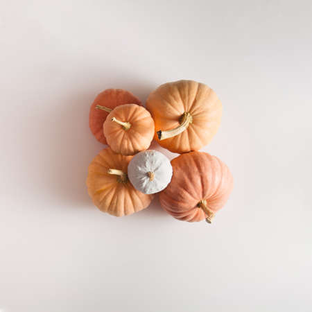 Orange pumpkin on white background.の写真素材