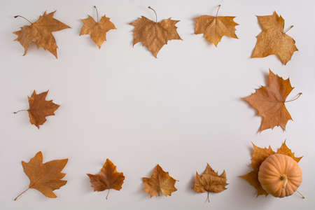 Autmn leaves on white background with pumpkin arranged to create frame. Copy space.