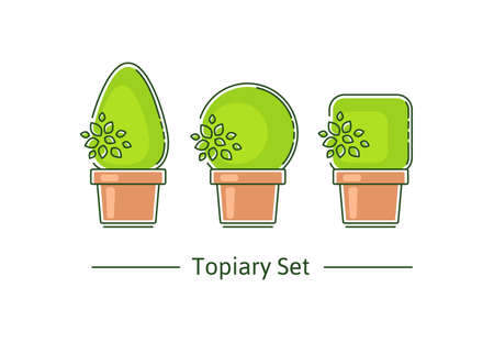 A set of boxwood topiary of different forms. Vector illustration in modern styleのイラスト素材