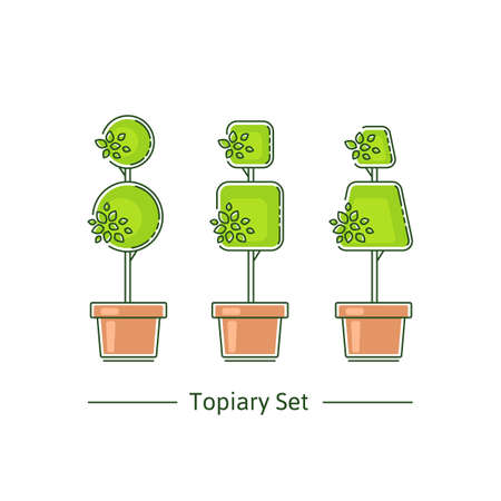 A set of boxwood topiary of different forms. Vector illustration in modern styleのイラスト素材