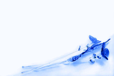 Isolated transparent colored flowers from a glass on a white backgroundの写真素材