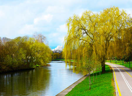 Landscape autumn city park and small riverの写真素材