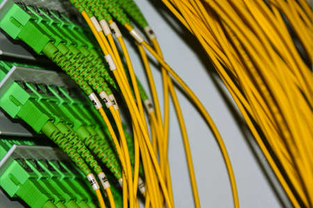 Fiber optic cables on the patch panel in the telecommunications cabinet transmit data on the TCP IP...