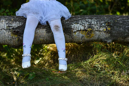 Legs of a little girl in a white dress and dirty pantyhose in the woods, old torn shoes, sitting on treeの写真素材