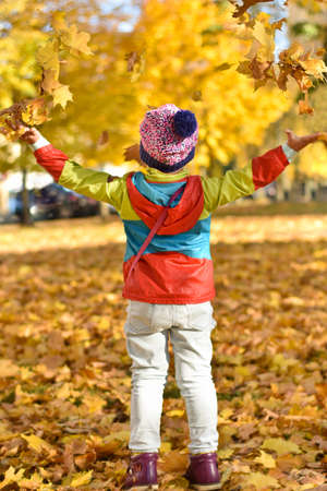 Happy little girl in bright clothes playing with leaves in city park in the autumnの写真素材