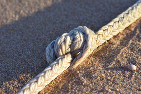 Sea rope with knot on the shore, copy space