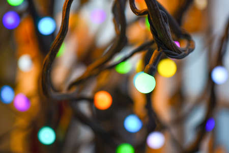 Electric colored garland on decorative tree, light