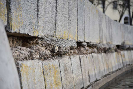 River embankment collapses in city