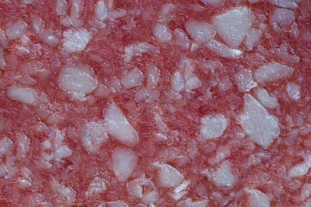 Texture salami sausage close up