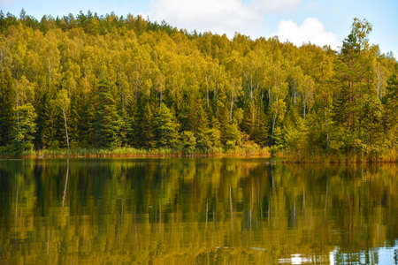 Early autumn in the forest by the lake.の写真素材