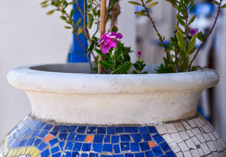 Flowers in a large Greek ceramic tile vase.