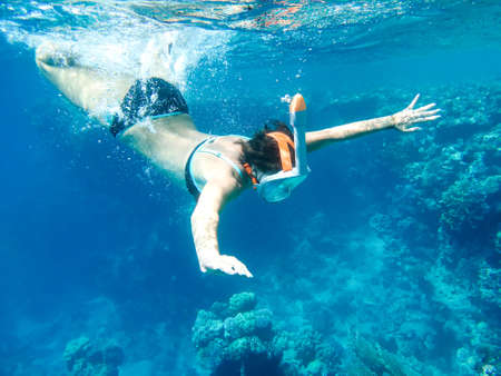 Girl snorkler swims underwater in the sea.の写真素材