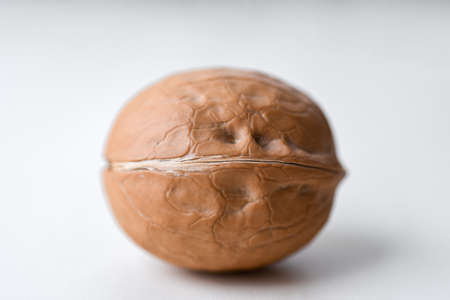 Isolated large walnut on white background.