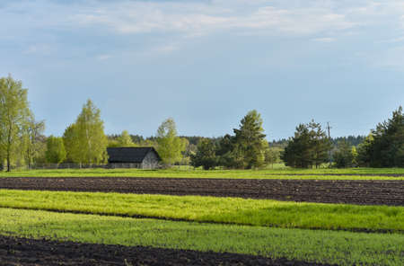 Farm and field among the forest.