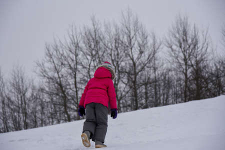 The child climbs hard up the snowy hill.の写真素材