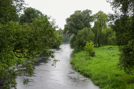 River in a green park during the rain.の写真素材