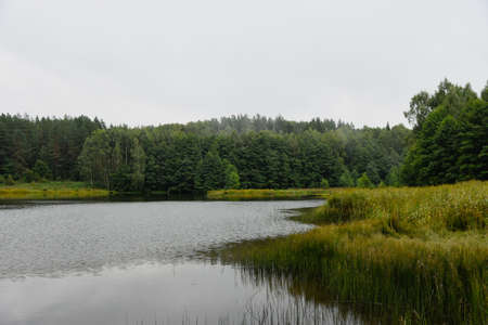 Lake in the forest on an autumn morning.の写真素材