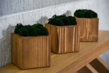 Moss in wooden pots on a shelf.