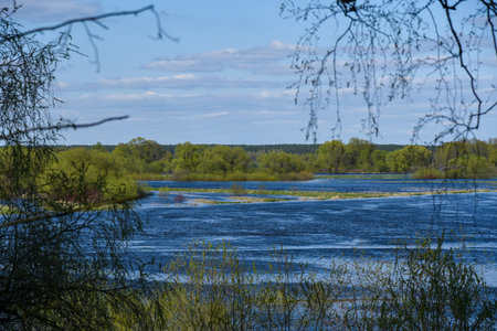 A flooded river in the spring after the snow melts.