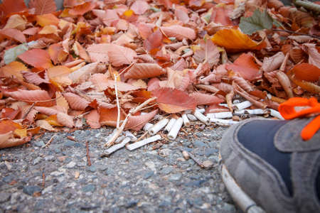 Cigarette butts among colorful fallen leaves