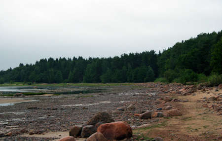 Pebble beach near the forest on a cloudy dayの写真素材