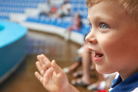 Happy blue-eyed boy is watching the performance and clapping in dolphinarium in half empty auditoriumの写真素材