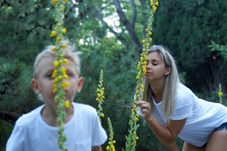 Beautiful young woman and a blond boy in white T-shirts enjoy the scent of tall, beautiful yellow...