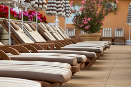 Many brown plastic sun beds with pillows and sun loungers stand on the tiles in the hotel, next to flowerbeds of beautiful multicolored flowers.の写真素材