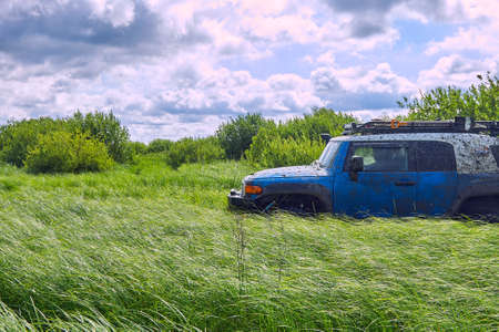 Dirty blue SUV with a spare tire and a shovel is driving through a green field between bushes. Exploration of the area by geologists against a dramatic skyの写真素材
