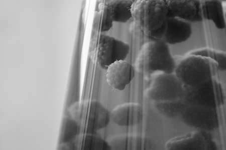 Close-up of a beautiful glass decanter filled with delicious vitamin compote brewed from fresh...