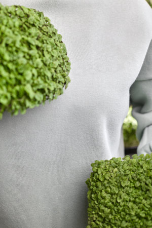 Delicate female hands hold melissa on the background of a green hoodie with a place for a copy...