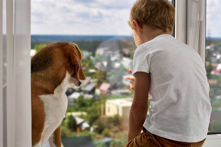 Little boy points his finger at dog through the window at what is happening on street. From a window on the top floor, a child and a dog watch people outside on sunny day.の写真素材