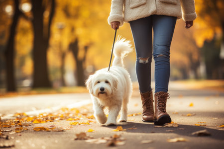 Young visually impaired woman is leisurely walking with her beloved guide dog in the autumn parkの素材