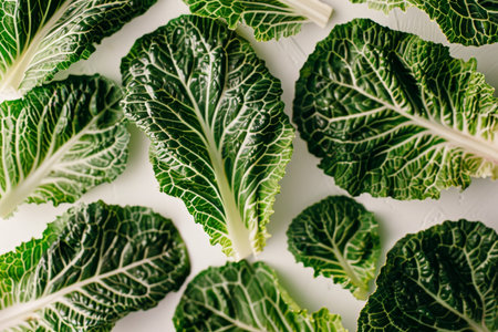 Vibrant romaine lettuce leaves gracefully floating against a clean white backgroundの素材