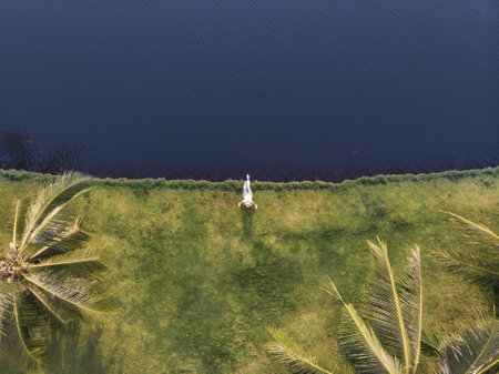 Picture created by dji camera. Young woman in white dress sitting on the grass on the shore edge near the sea. Up side photo.の写真素材