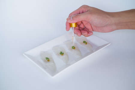 Hand decorating sashimi on white plate on white background. Isolated on white. Making sushi....