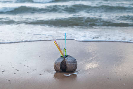 Old coconut with used plastic dishes and straws inside laying on the beach. Sea on the background. Concept of stop plastic pollution, plastic free.の写真素材