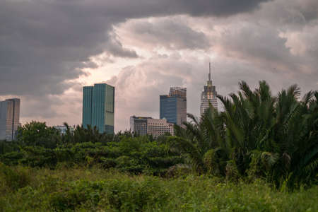 Picture of skyscrapers at sunset in the park with green grass and trees. View in metropolis with...
