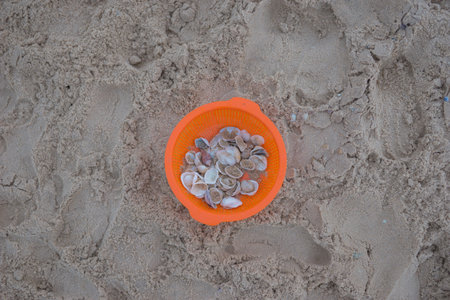 White seashells collected in an orange pot lie on the beach by the sea. High quality photo
